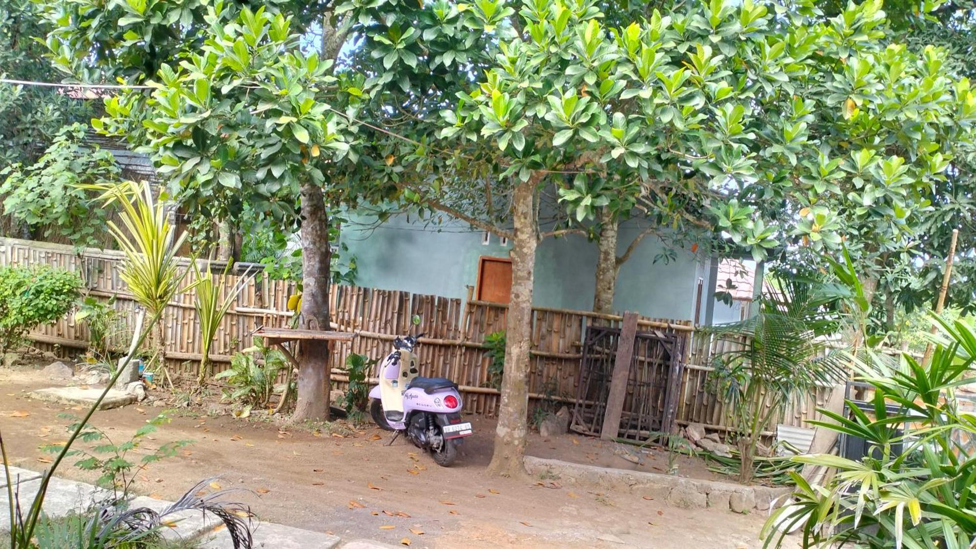 Palm Homestay Kuta Kuta  Buitenkant foto