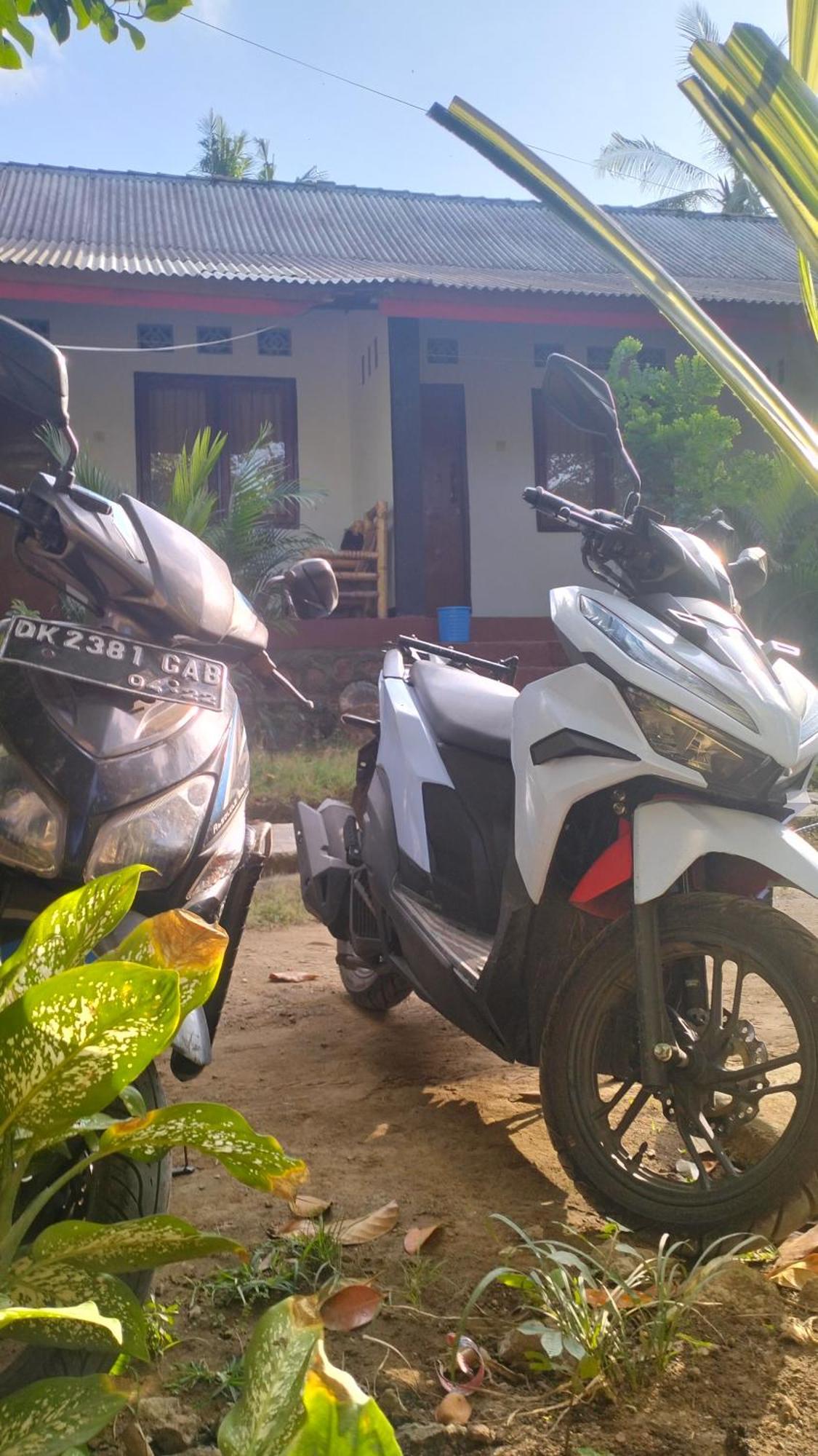 Palm Homestay Kuta Kuta  Buitenkant foto