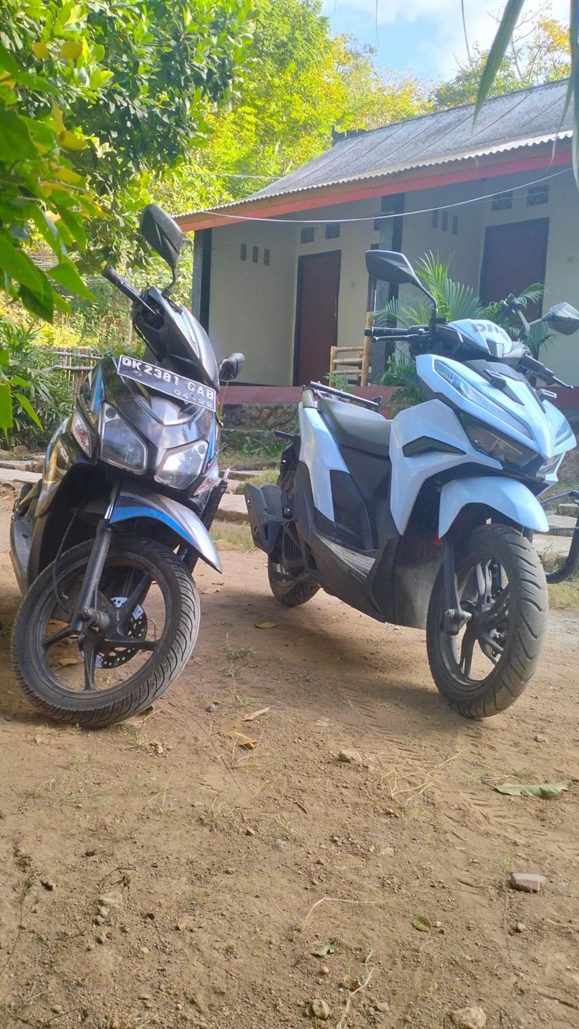 Palm Homestay Kuta Kuta  Buitenkant foto